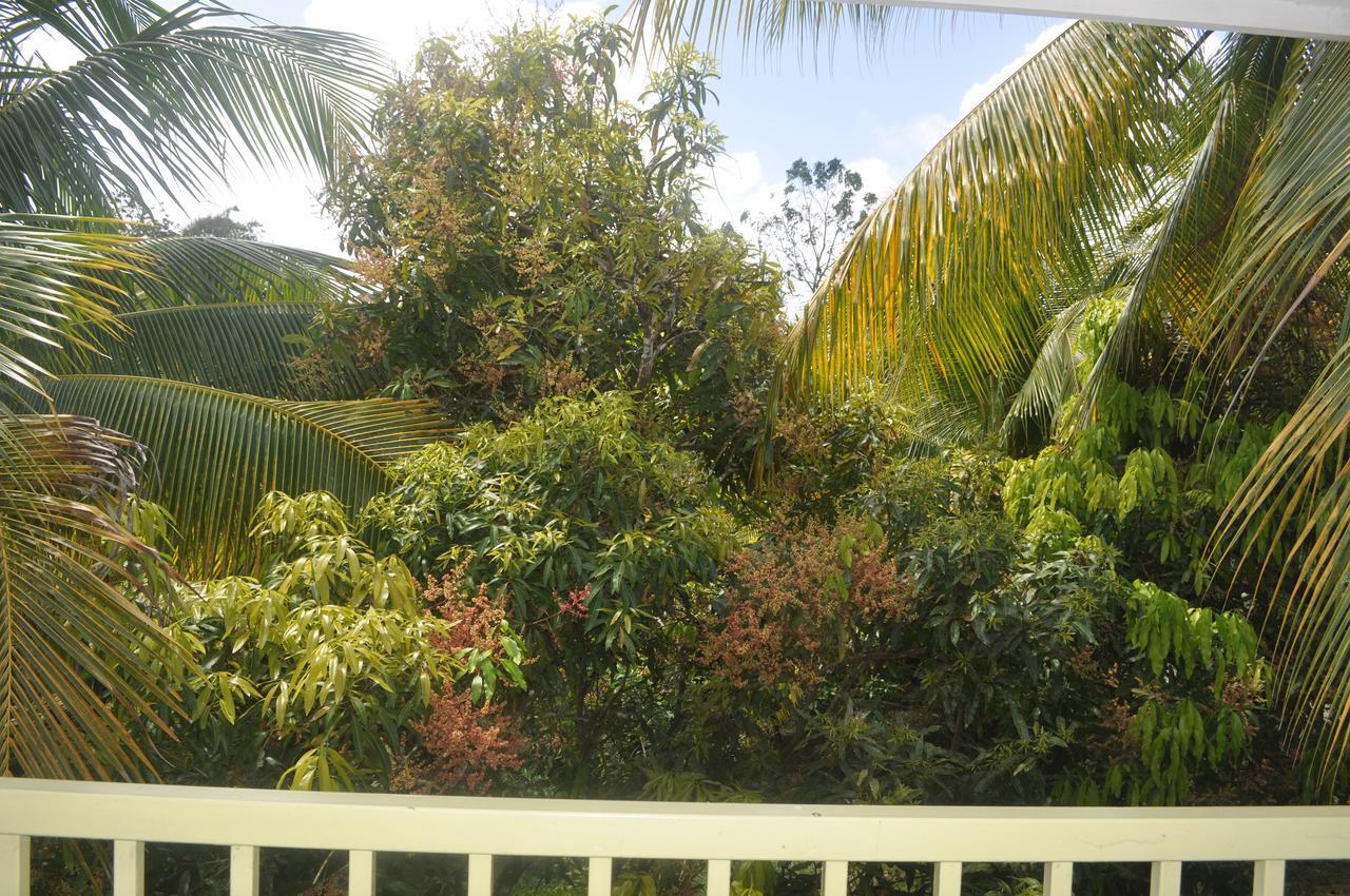 Leatherback Lodge Eco B&B Salybia Exterior foto